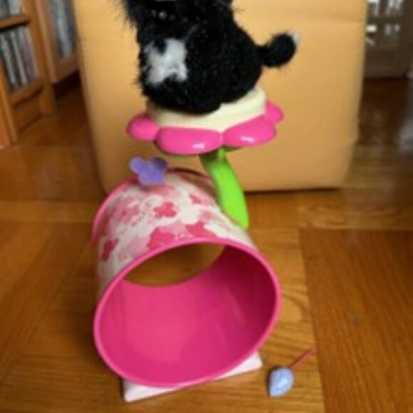 Retired Lot 3 American Girl Doll Licorice Cat, Diamond  American Girl Cat Licorice Bundle of 3 (retired)